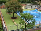 Playground Pond in Tokyo Japan