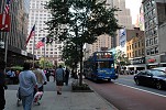 Bus Lanes in NYC